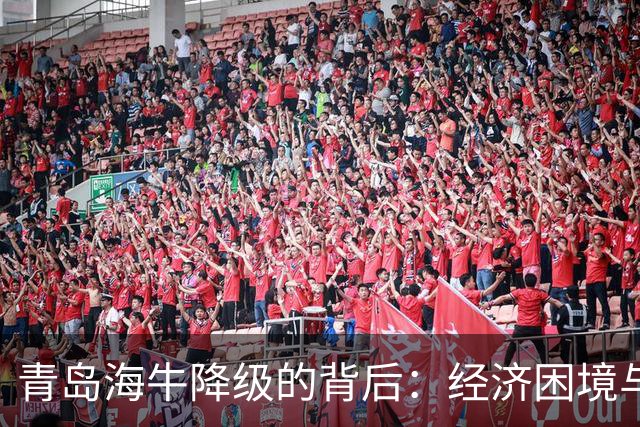 青岛海牛降级的背后：经济困境与股改的无果